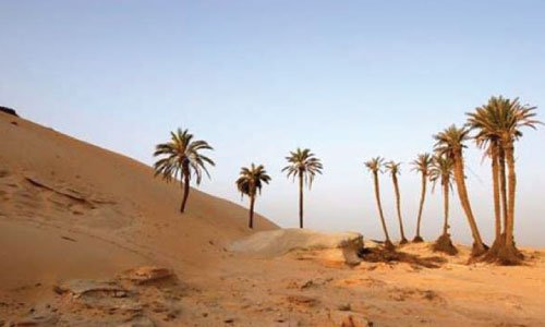 Day 6 :	: North Coast – Alexandria (280 km) Road 