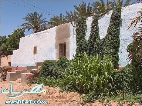 Day 7 :	Kharga Oasis - Luxor