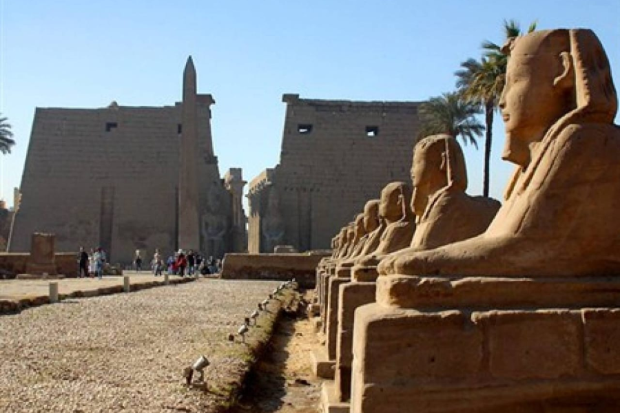 Cruise Down The Nile