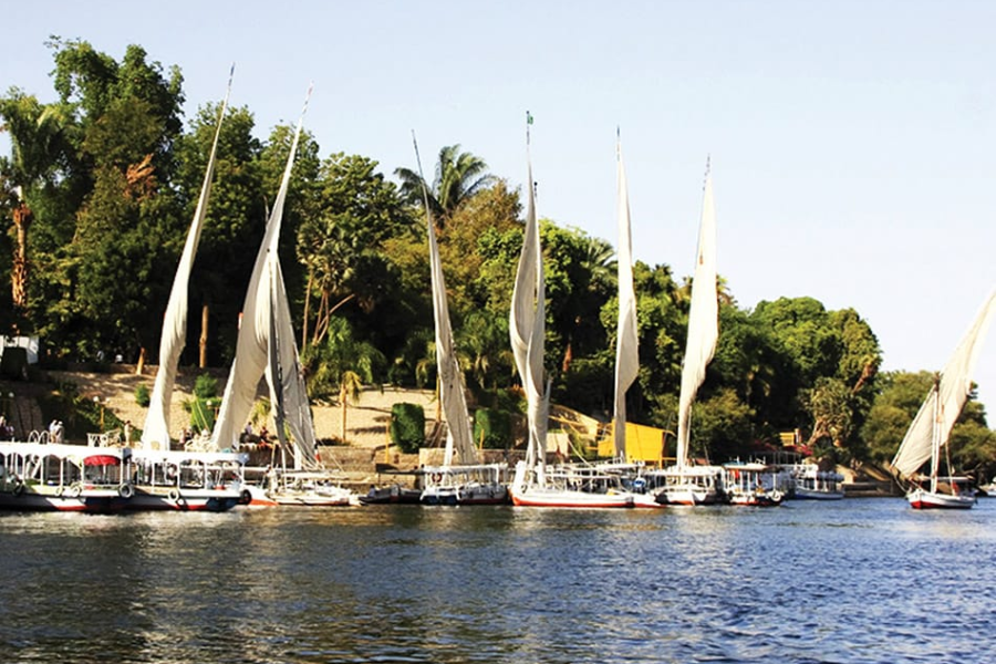 Half Day Botanical Garden and Elephantine Island