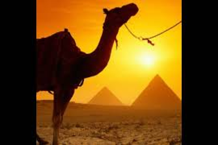 Egypt Complete Tour