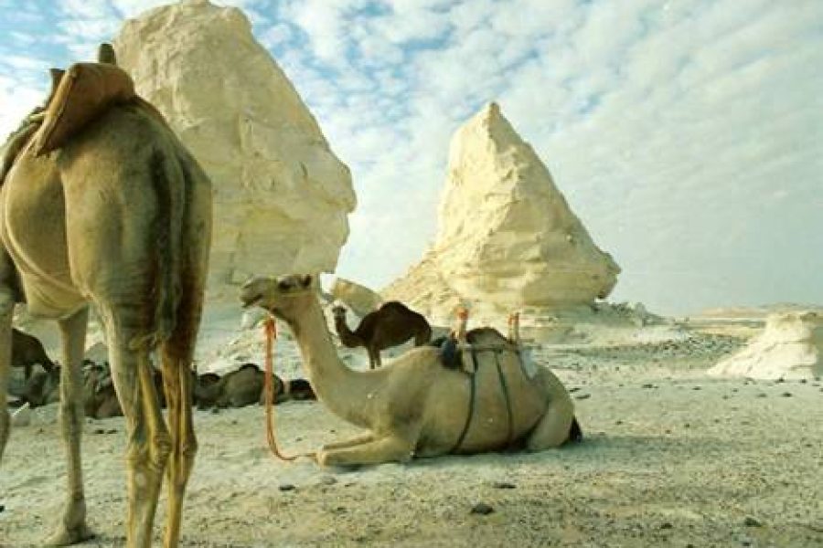 White Desert 3 nights / 4 days