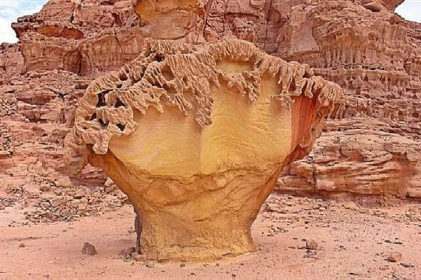 Day 5 :	St. Catherine - Wadi Arada's monastery