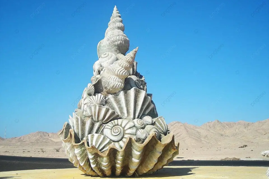 SNORKELING IN RAS MOHAMED